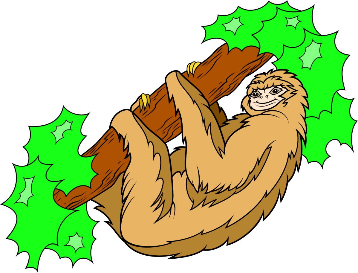 sloth2.jpg
